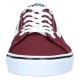 Vans Chapman