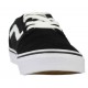 Vans Chapman